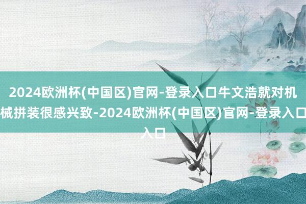 2024欧洲杯(中国区)官网-登录入口牛文浩就对机械拼装很感兴致-2024欧洲杯(中国区)官网-登录入口